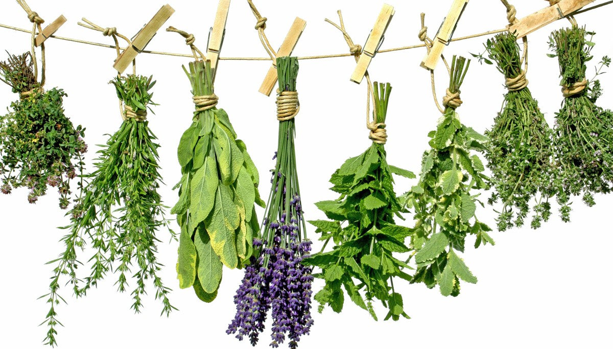 7 HERBS OF YEMAYA