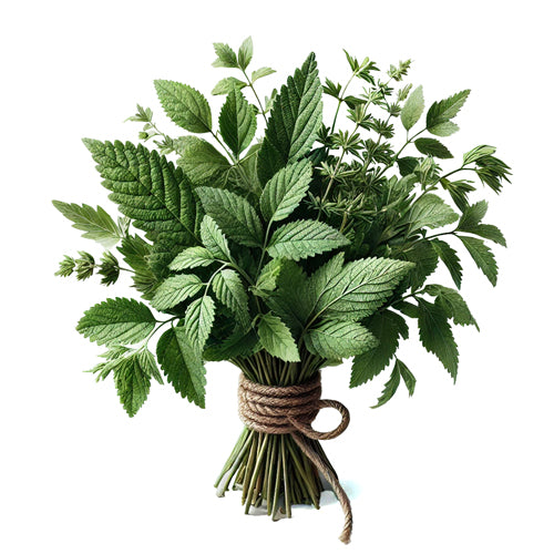 7 Bitter Herbs