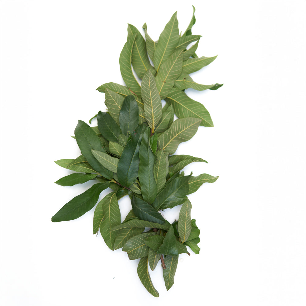 Guava Leaves