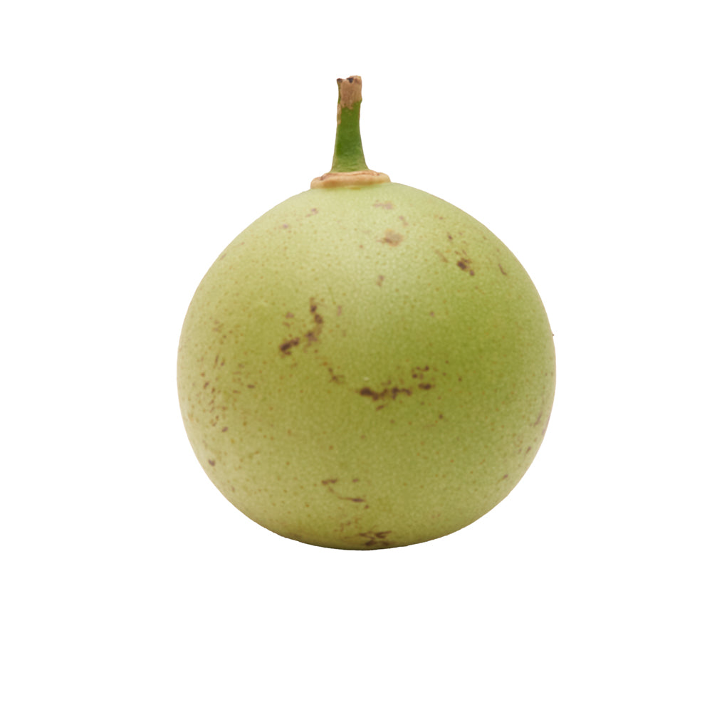 guira for sale