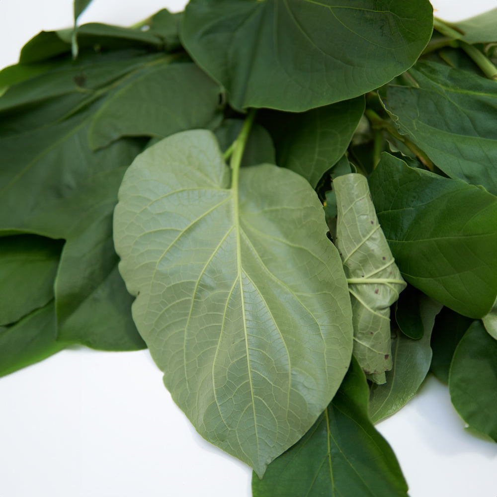 caisimon leaves
