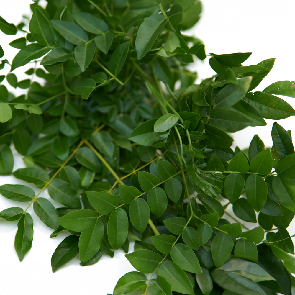 Quita Maldición hojas